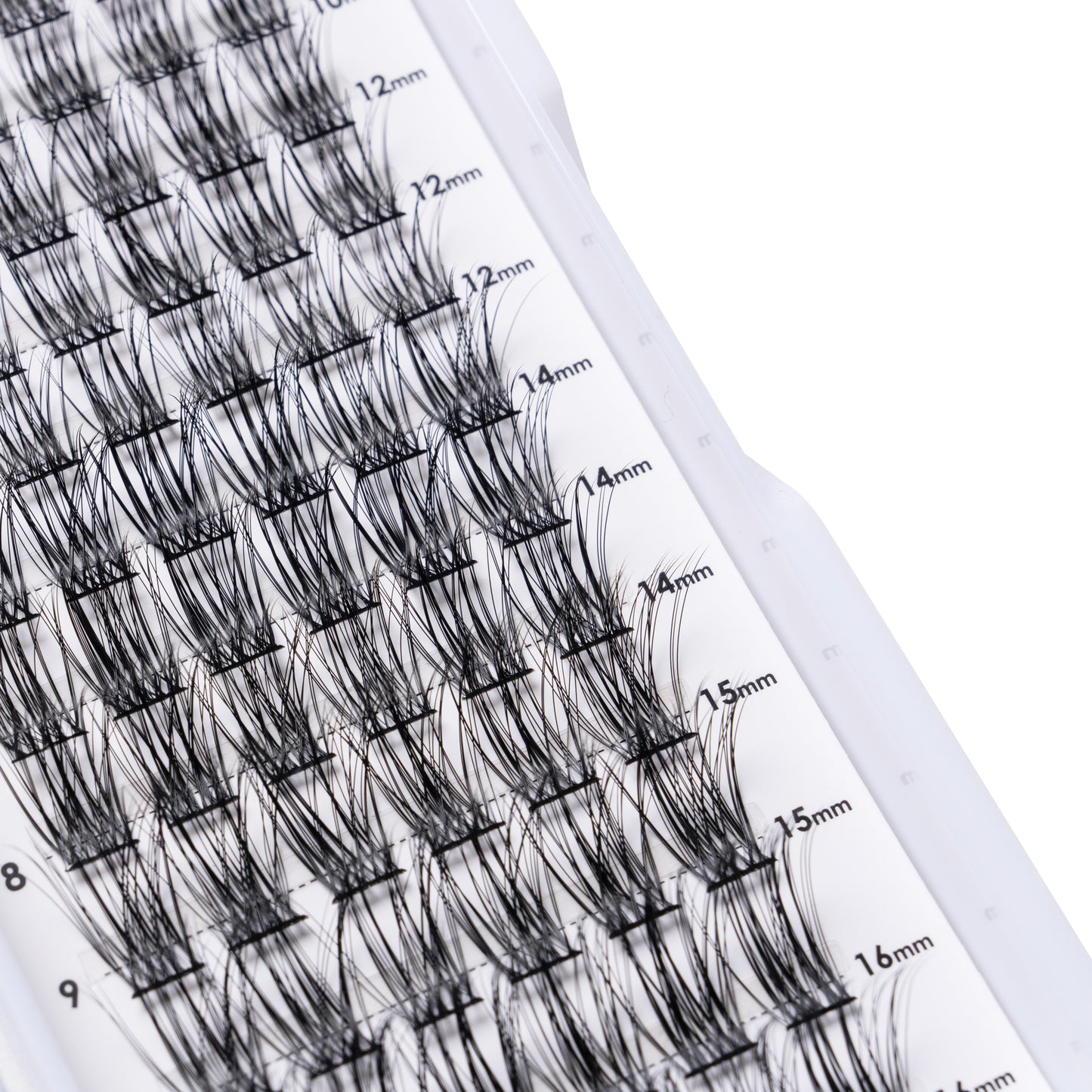 DIY Lash Kit | 2 PACK