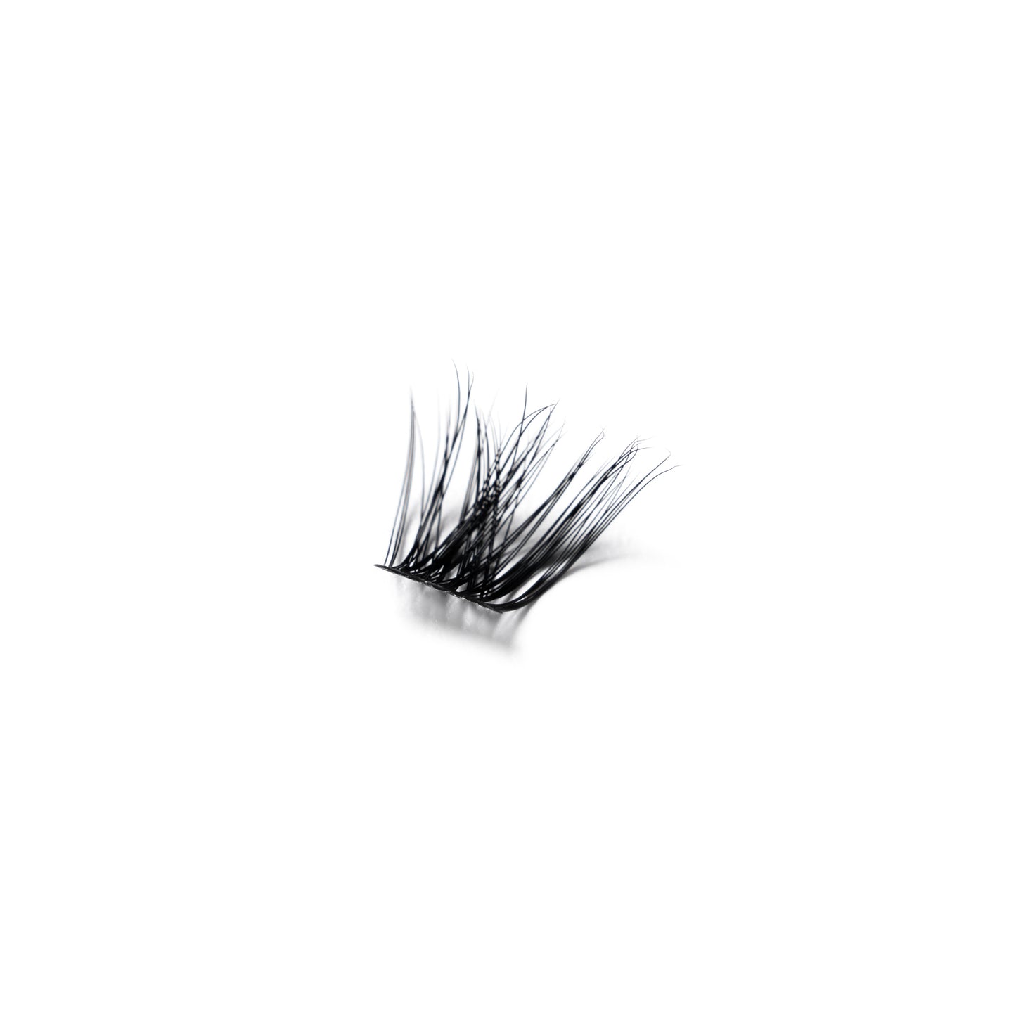 DIY Lash Kit | 2 PACK