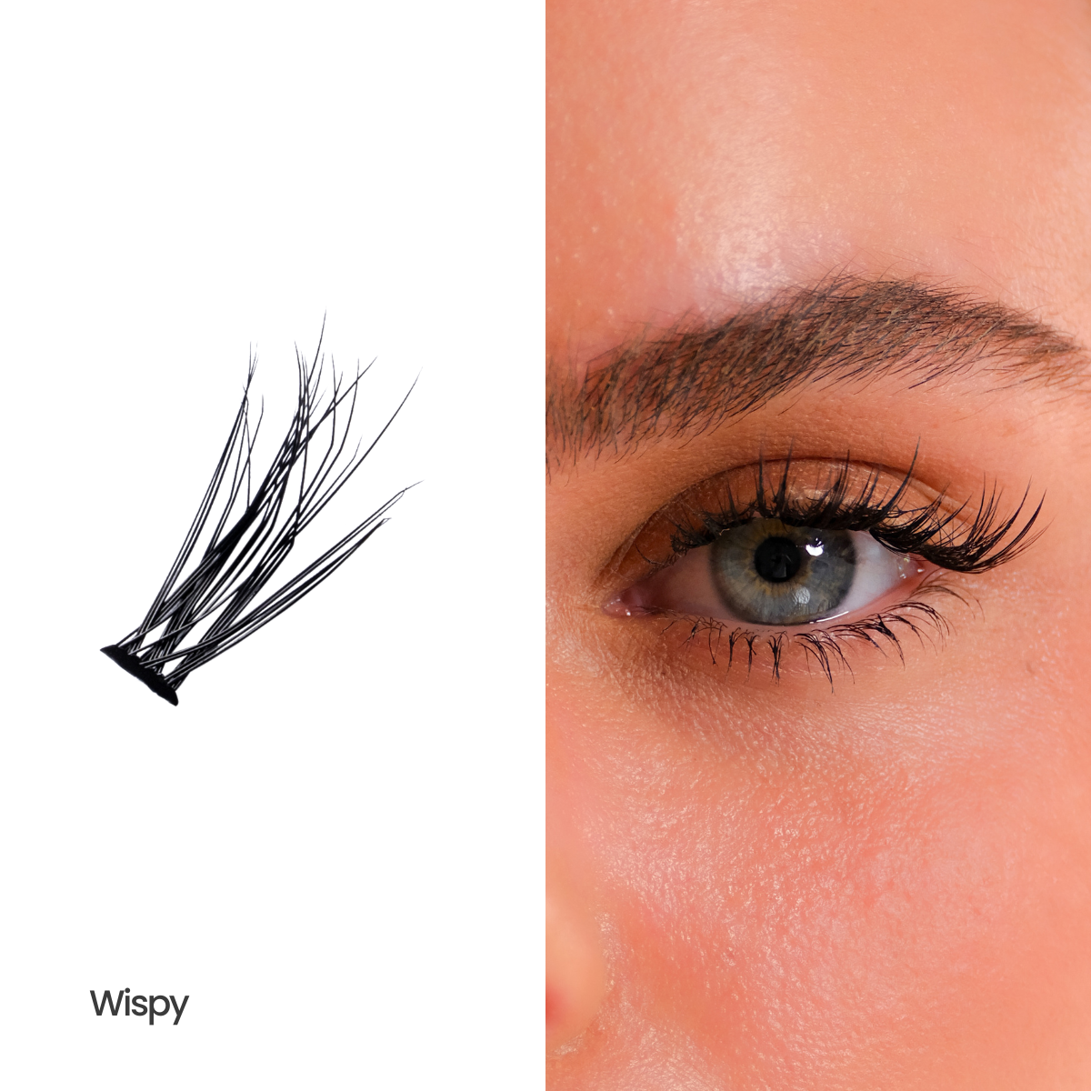 Luxe DIY Lash Kit